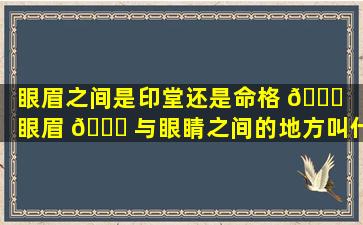 眼眉之间是印堂还是命格 🐛 （眼眉 🐈 与眼睛之间的地方叫什么）